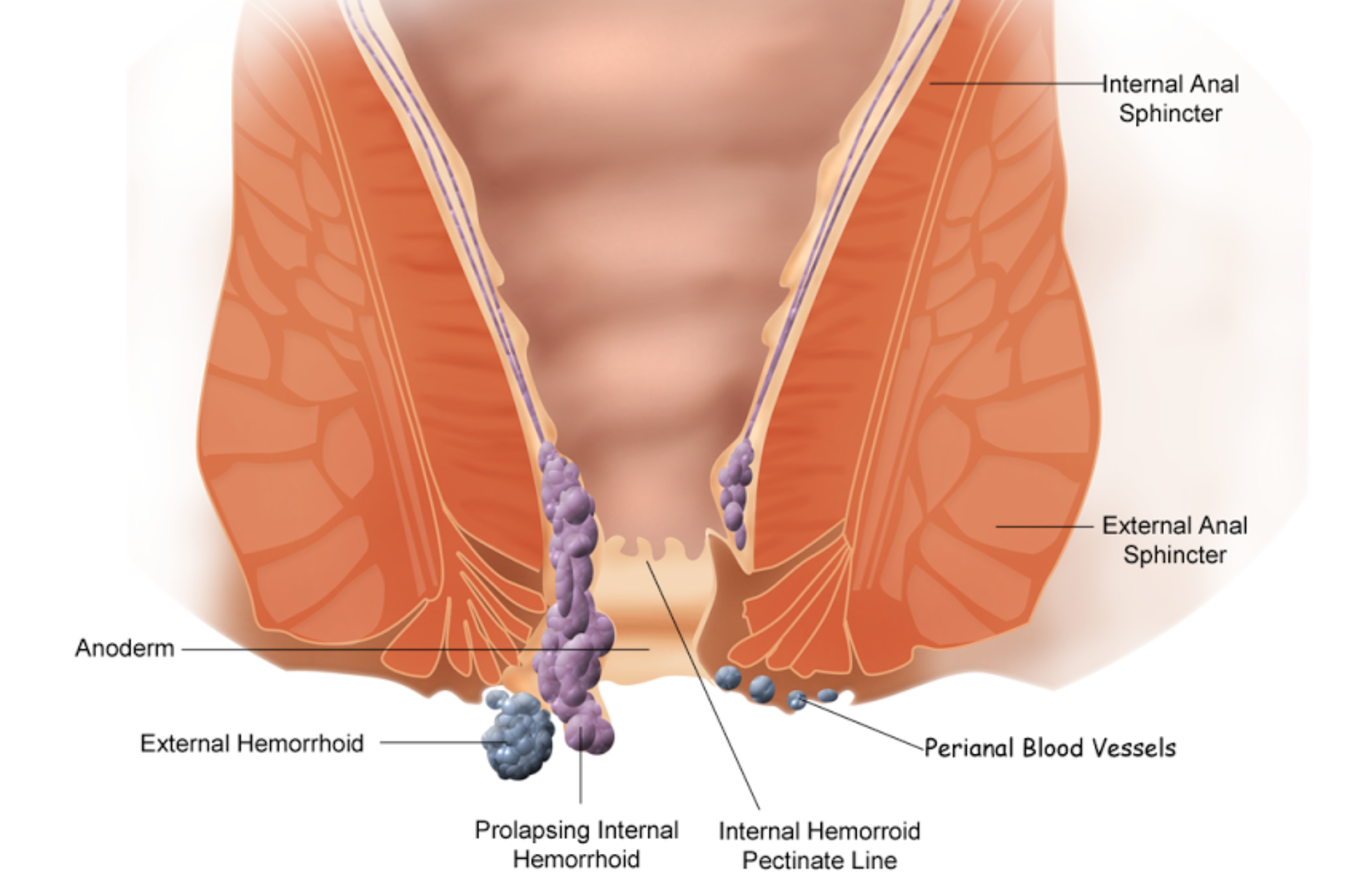 Jenna Jameson va Silvia Saint yalangoch fotosuratlar